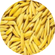  Bulir